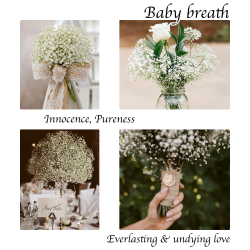 collage_baby breath2