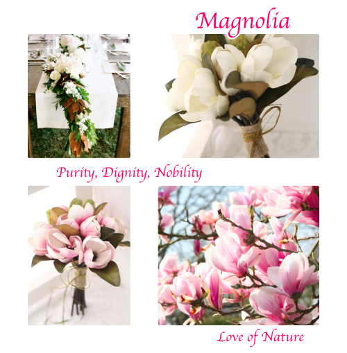 collage_magnolia2