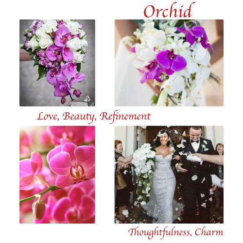 collage_orchid2